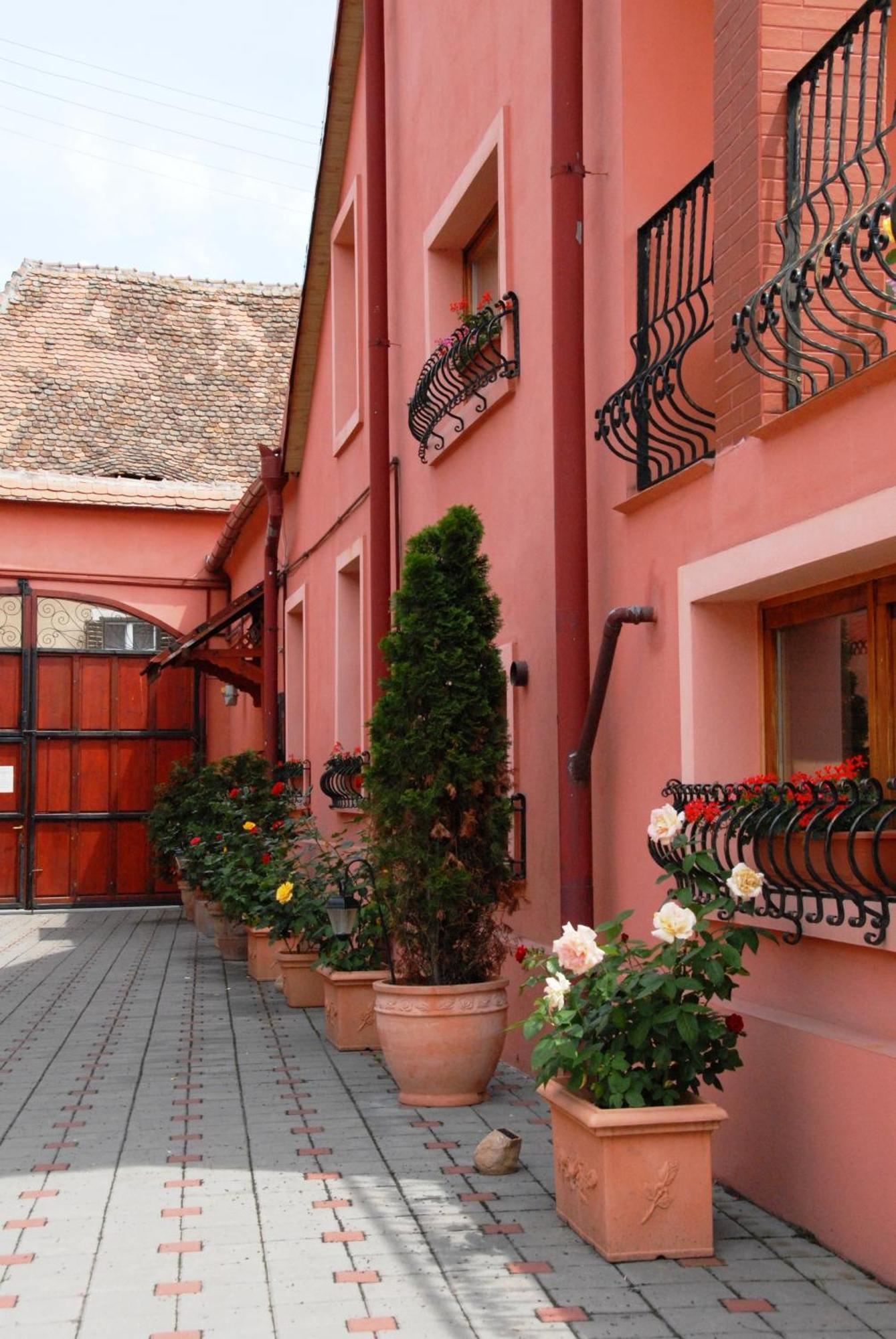 Pensiunea Daniel Sibiu Exterior photo
