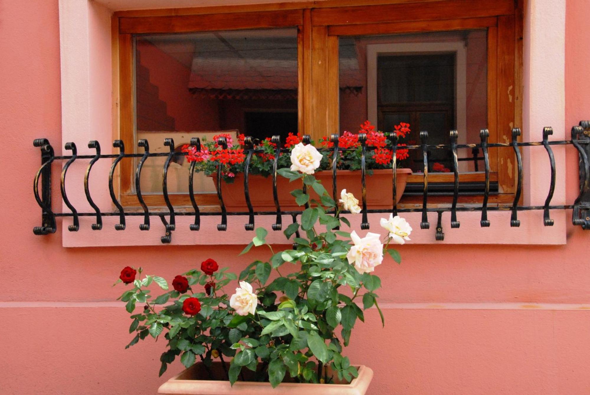 Pensiunea Daniel Sibiu Exterior photo